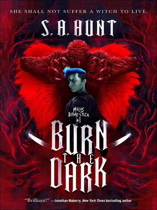 Title details for Burn the Dark by S. A. Hunt - Available